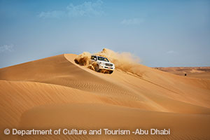 Desert Safari